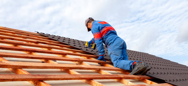 Best Roof Moss and Algae Removal  in Del Rey Oaks, CA